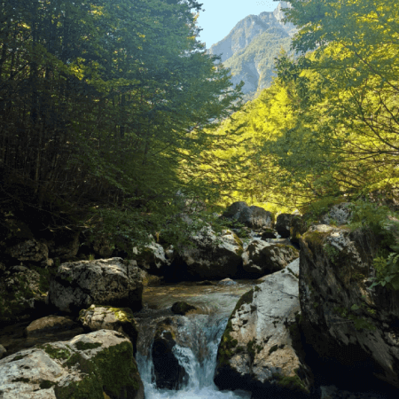 Korita